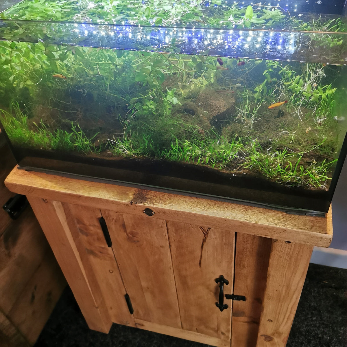 Handmade Fish Tank & Aquarium Stand – Custom Sizes & Colours